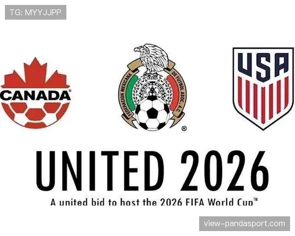 2026世界杯最新资格规则解析